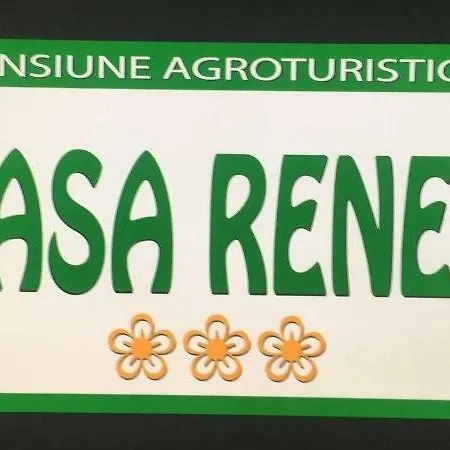 Гостевой дом Casa Renea Сфынту-Георге