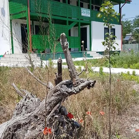 Casa Renea