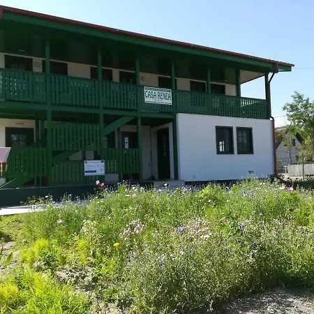 Гостевой дом Casa Renea Сфынту-Георге