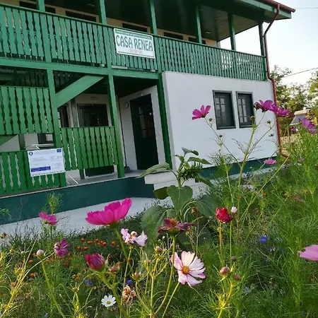 Casa Renea 3* Сфынту-Георге